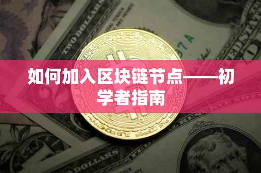 如何加入区块链节点——初学者指南