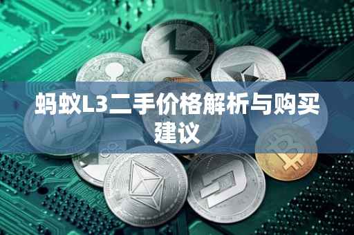蚂蚁L3二手价格解析与购买建议