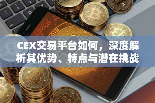 CEX交易平台如何，深度解析其优势、特点与潜在挑战