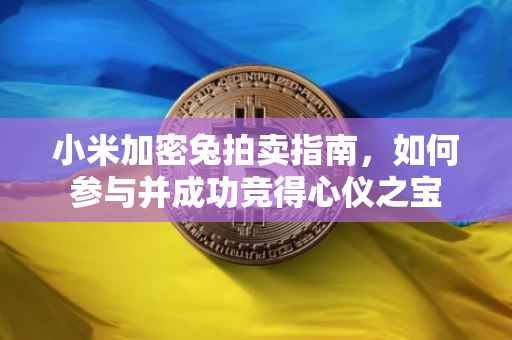 小米加密兔拍卖指南，如何参与并成功竞得心仪之宝