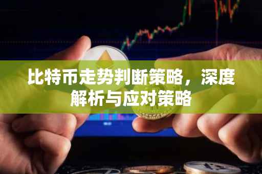 比特币走势判断策略，深度解析与应对策略