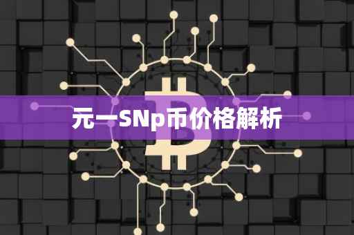 元一SNp币价格解析
