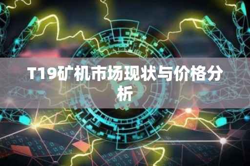 T19矿机市场现状与价格分析
