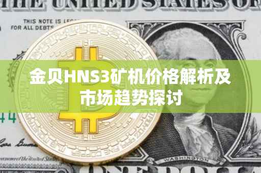 金贝HNS3矿机价格解析及市场趋势探讨