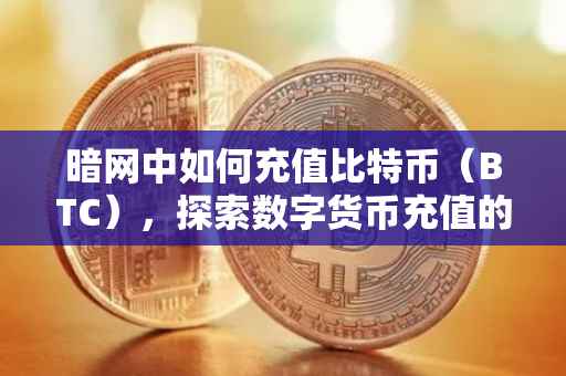 暗网中如何充值比特币（BTC），探索数字货币充值的新途径