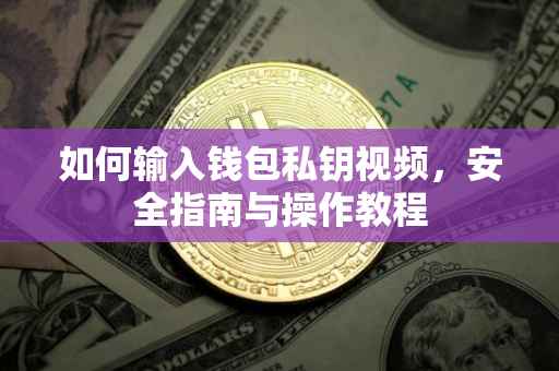 如何输入钱包私钥视频，安全指南与操作教程