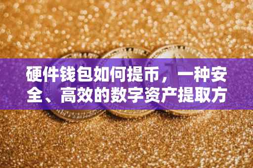 硬件钱包如何提币，一种安全、高效的数字资产提取方式