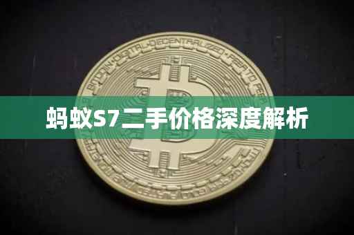 蚂蚁S7二手价格深度解析