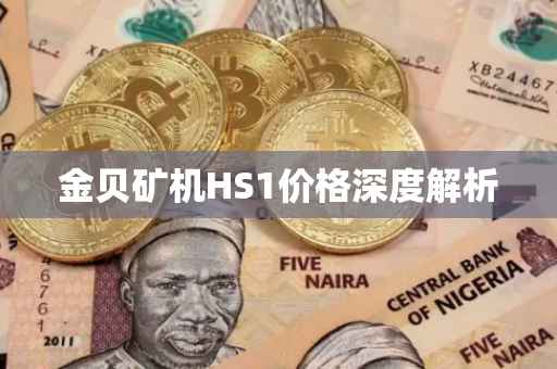 金贝矿机HS1价格深度解析