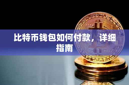 比特币钱包如何付款，详细指南