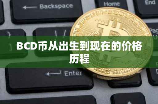 BCD币从出生到现在的价格历程