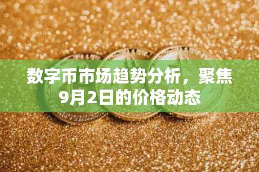 数字币市场趋势分析，聚焦9月2日的价格动态