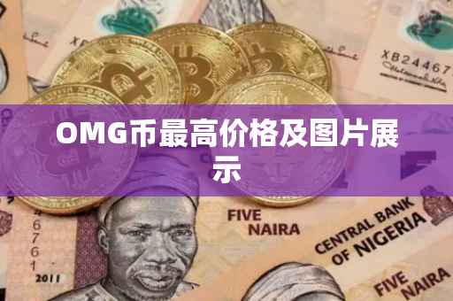 OMG币最高价格及图片展示