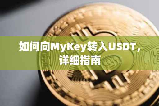 如何向MyKey转入USDT，详细指南