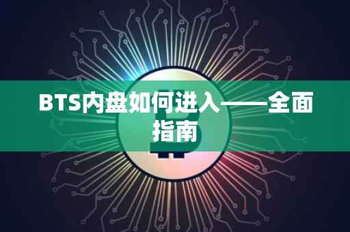 BTS内盘如何进入——全面指南