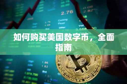 如何购买美国数字币，全面指南