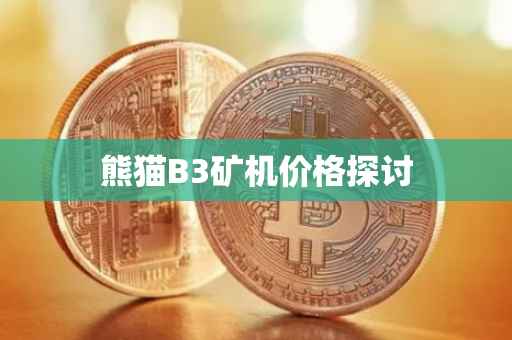 熊猫B3矿机价格探讨