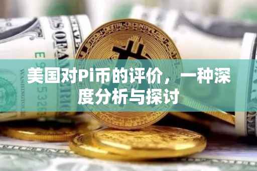 美国对Pi币的评价，一种深度分析与探讨