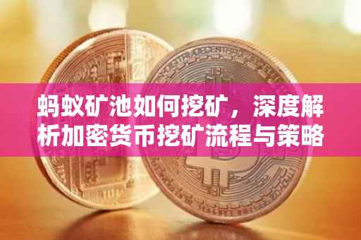 蚂蚁矿池如何挖矿，深度解析加密货币挖矿流程与策略
