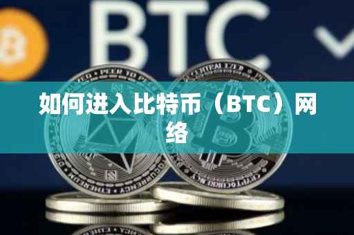 如何进入比特币（BTC）网络