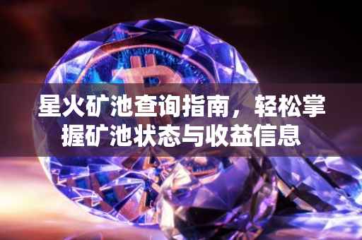星火矿池查询指南，轻松掌握矿池状态与收益信息