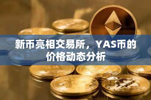 新币亮相交易所，YAS币的价格动态分析