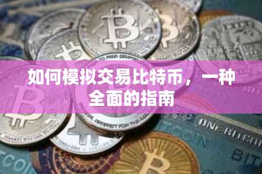 如何模拟交易比特币，一种全面的指南