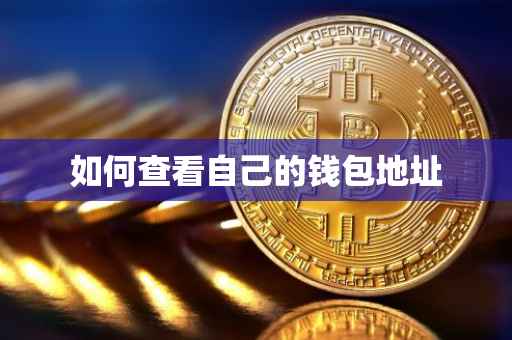 如何查看自己的钱包地址