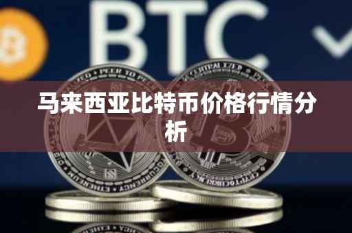 马来西亚比特币价格行情分析