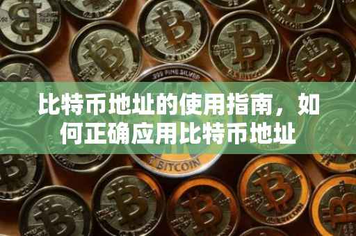 比特币地址的使用指南，如何正确应用比特币地址