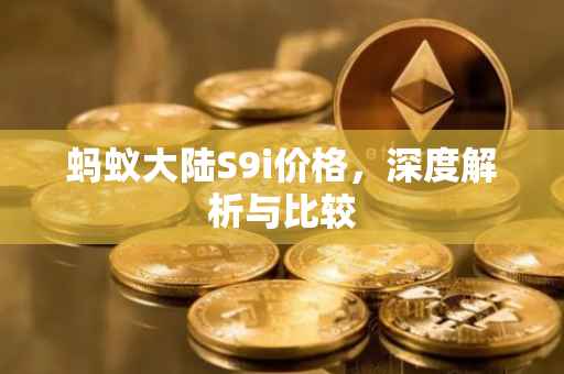 蚂蚁大陆S9i价格，深度解析与比较