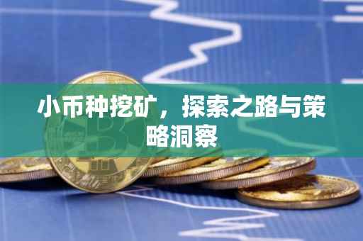小币种挖矿，探索之路与策略洞察