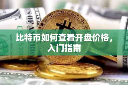 比特币如何查看开盘价格，入门指南