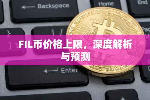FIL币价格上限，深度解析与预测