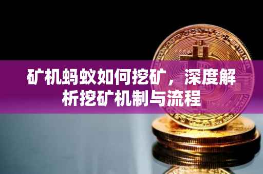 矿机蚂蚁如何挖矿，深度解析挖矿机制与流程