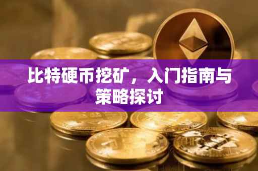 比特硬币挖矿，入门指南与策略探讨