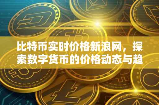 比特币实时价格新浪网，探索数字货币的价格动态与趋势分析