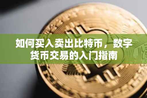 如何买入卖出比特币，数字货币交易的入门指南