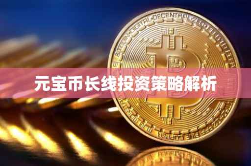 元宝币长线投资策略解析