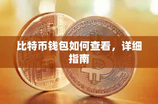 比特币钱包如何查看，详细指南