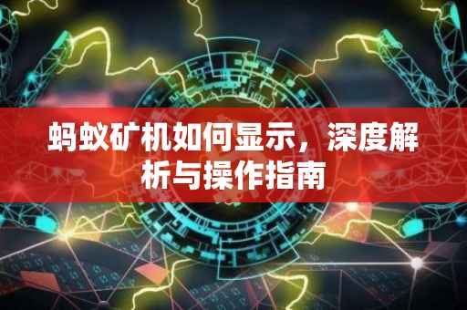 蚂蚁矿机如何显示，深度解析与操作指南