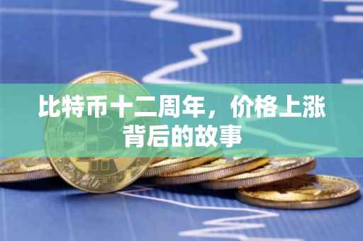 比特币十二周年，价格上涨背后的故事