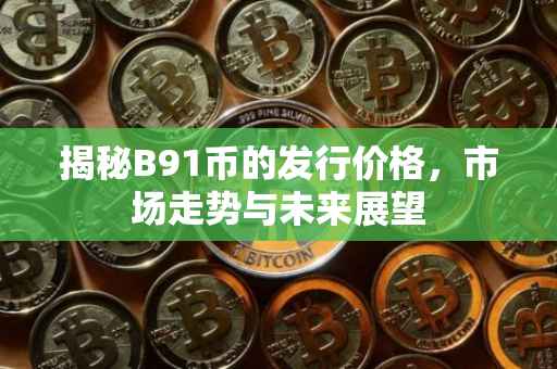 揭秘B91币的发行价格，市场走势与未来展望