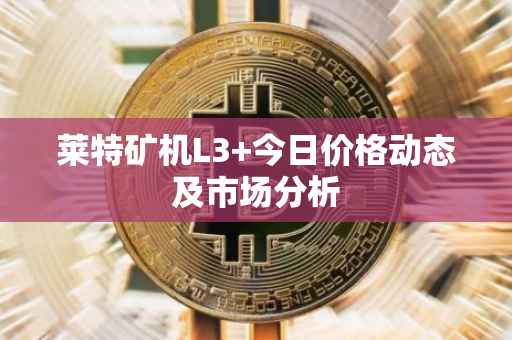 莱特矿机L3+今日价格动态及市场分析