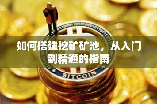 如何搭建挖矿矿池，从入门到精通的指南