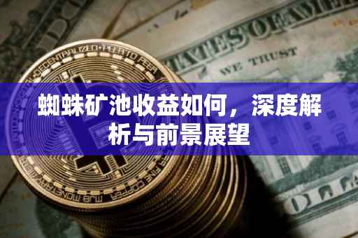 蜘蛛矿池收益如何，深度解析与前景展望