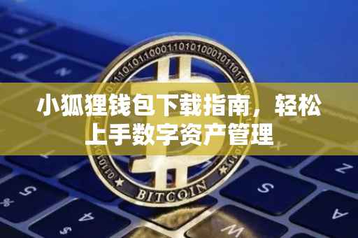 小狐狸钱包下载指南，轻松上手数字资产管理