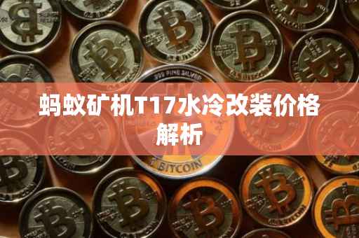 蚂蚁矿机T17水冷改装价格解析