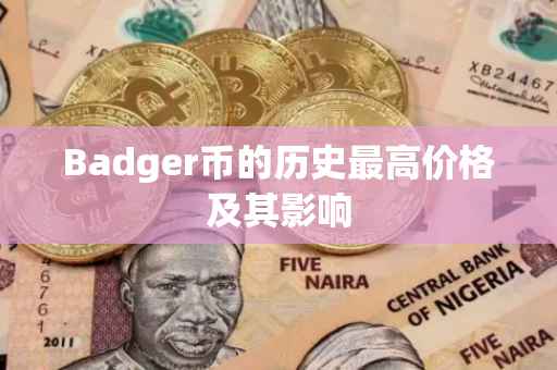 Badger币的历史最高价格及其影响