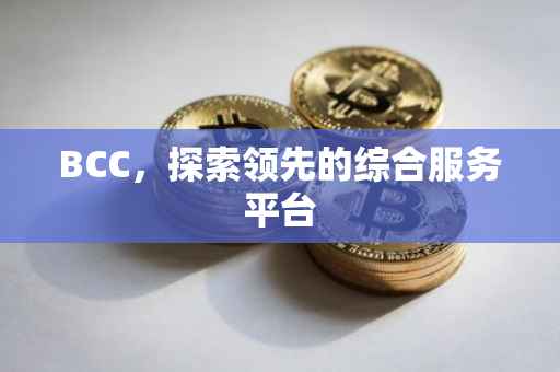 BCC，探索领先的综合服务平台